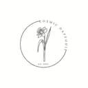 Cosmic Daffodil cover