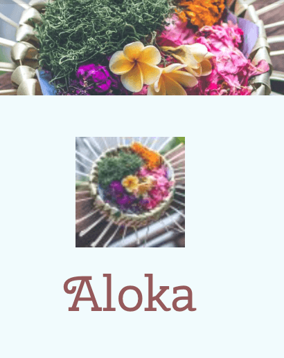 Cover of Aloka Magazine