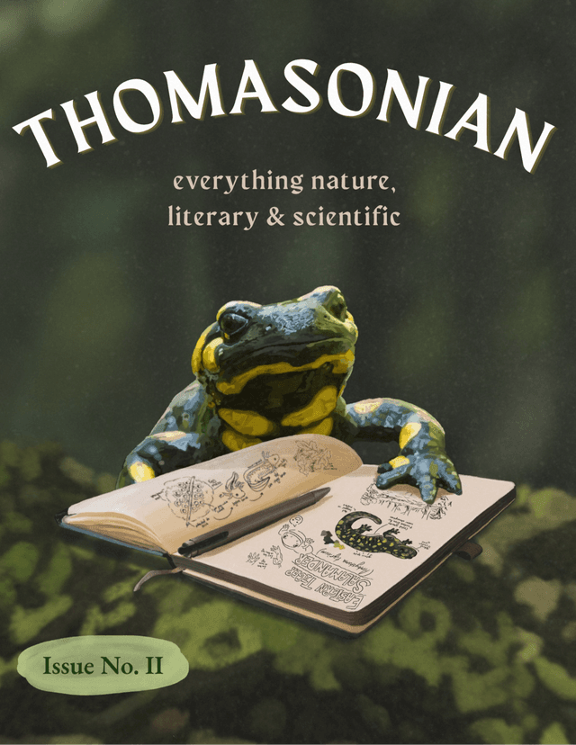 Thomasonian latest issue