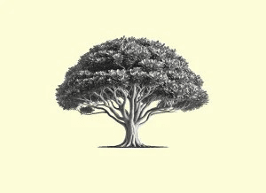 Cover of The Lemonwood Quarterly