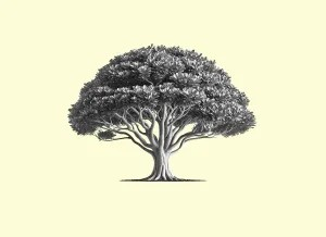 Cover of The Lemonwood Quarterly