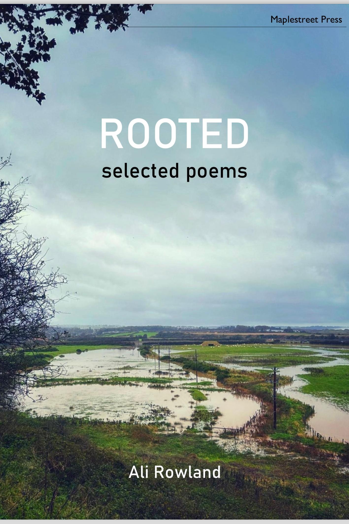 Book cover of Rooted by Ali Rowland