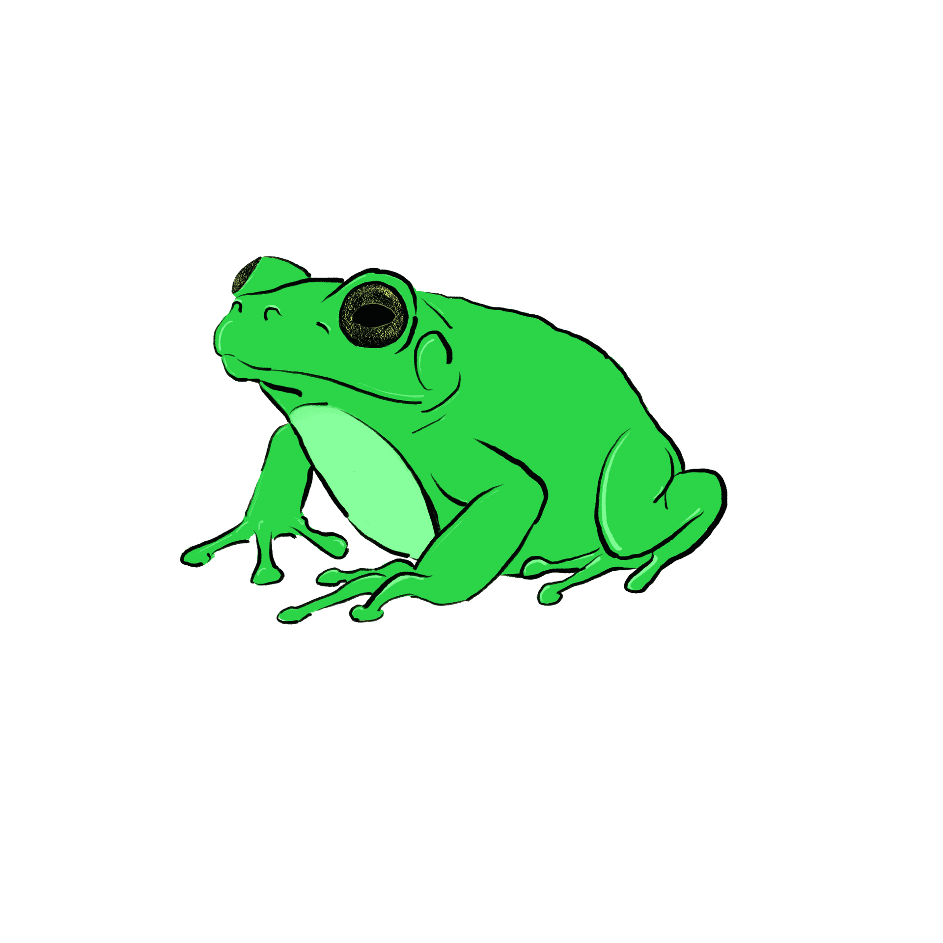 Cover of Croak