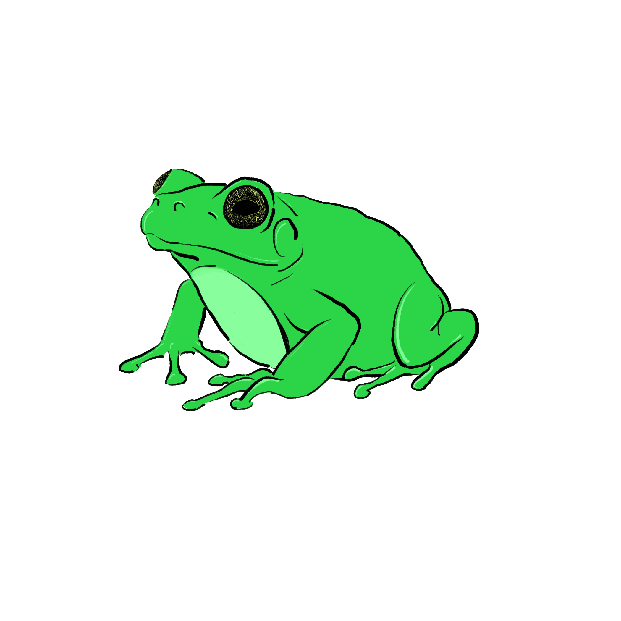 Cover of Croak