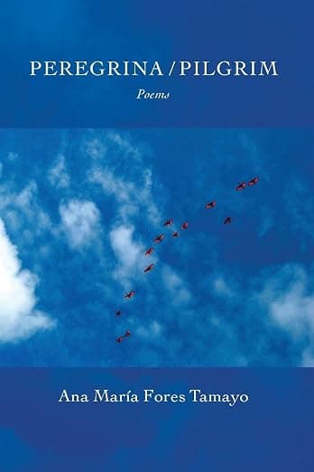 Book cover of Peregrina / Pilgrim by Ana M. ForesTamayo