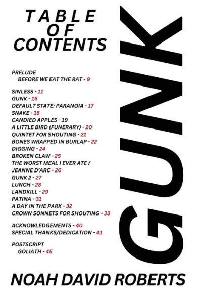 Book cover of GUNK by Noah David Roberts