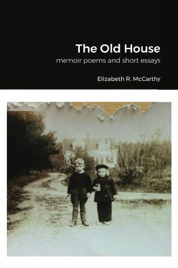 Book cover of The Old House by Elizabeth R. McCarthy