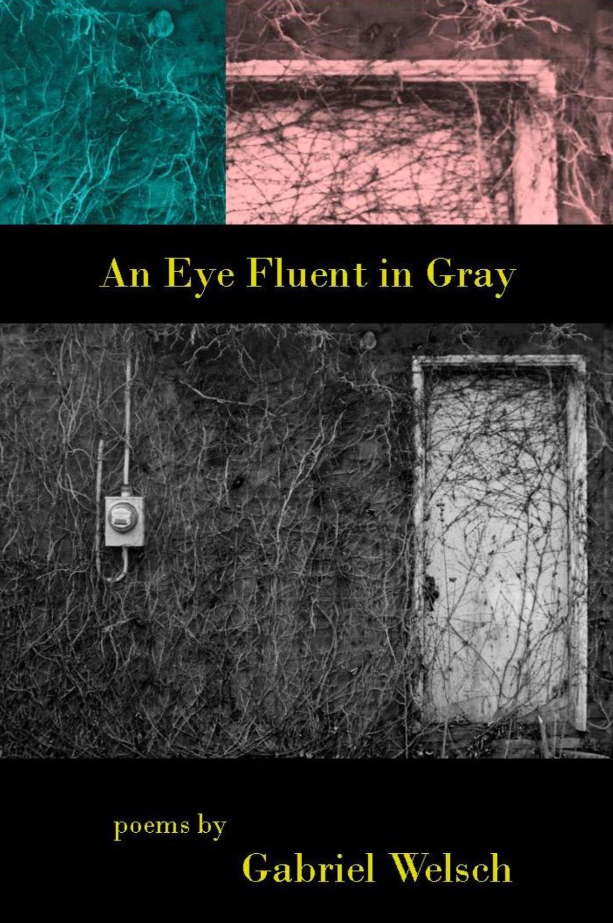 Book cover of An Eye Fluent in Gray by gabrielwelsch