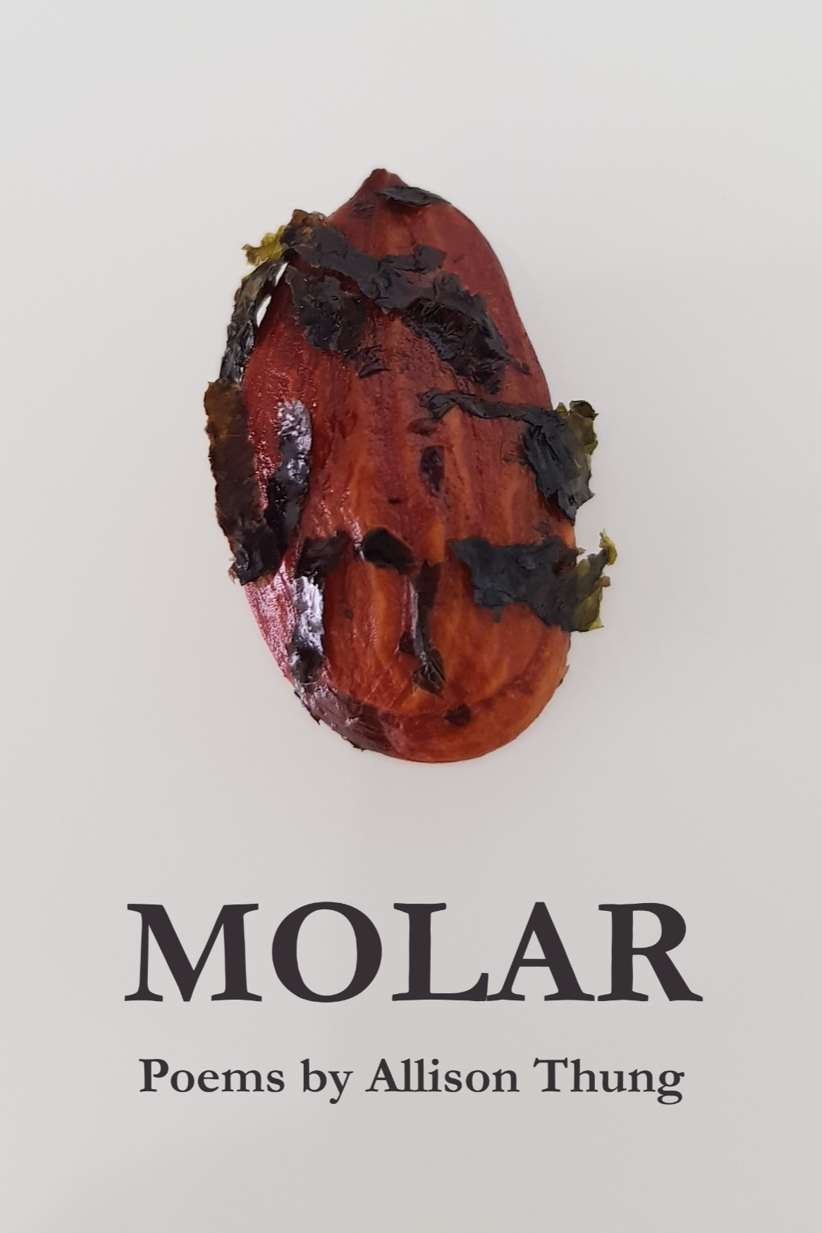 Book cover of Molar by Allison Thung