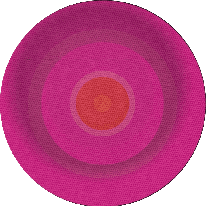 Cover of The Ana