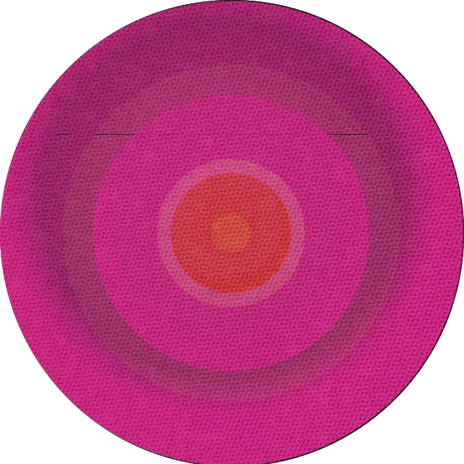 Cover of The Ana