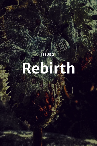Barren Magazine latest issue