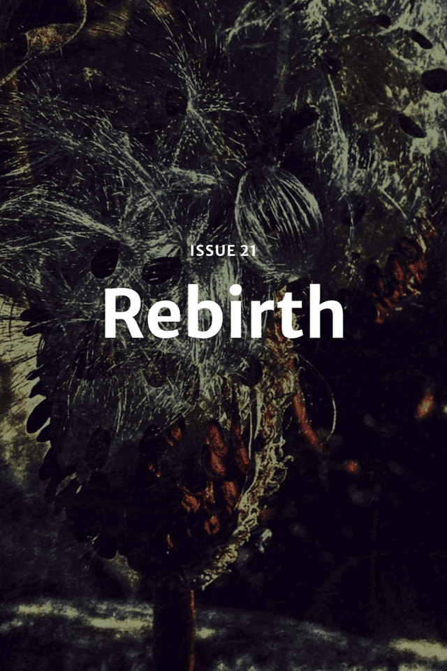 Barren Magazine latest issue