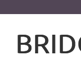 Cover of Bridge Ink