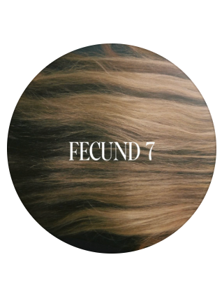 Fecund Magazine latest issue