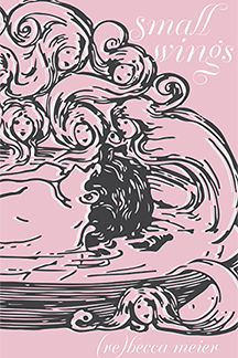 Book cover of small wings by (re)becca meier