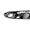 The South Shore Review logo