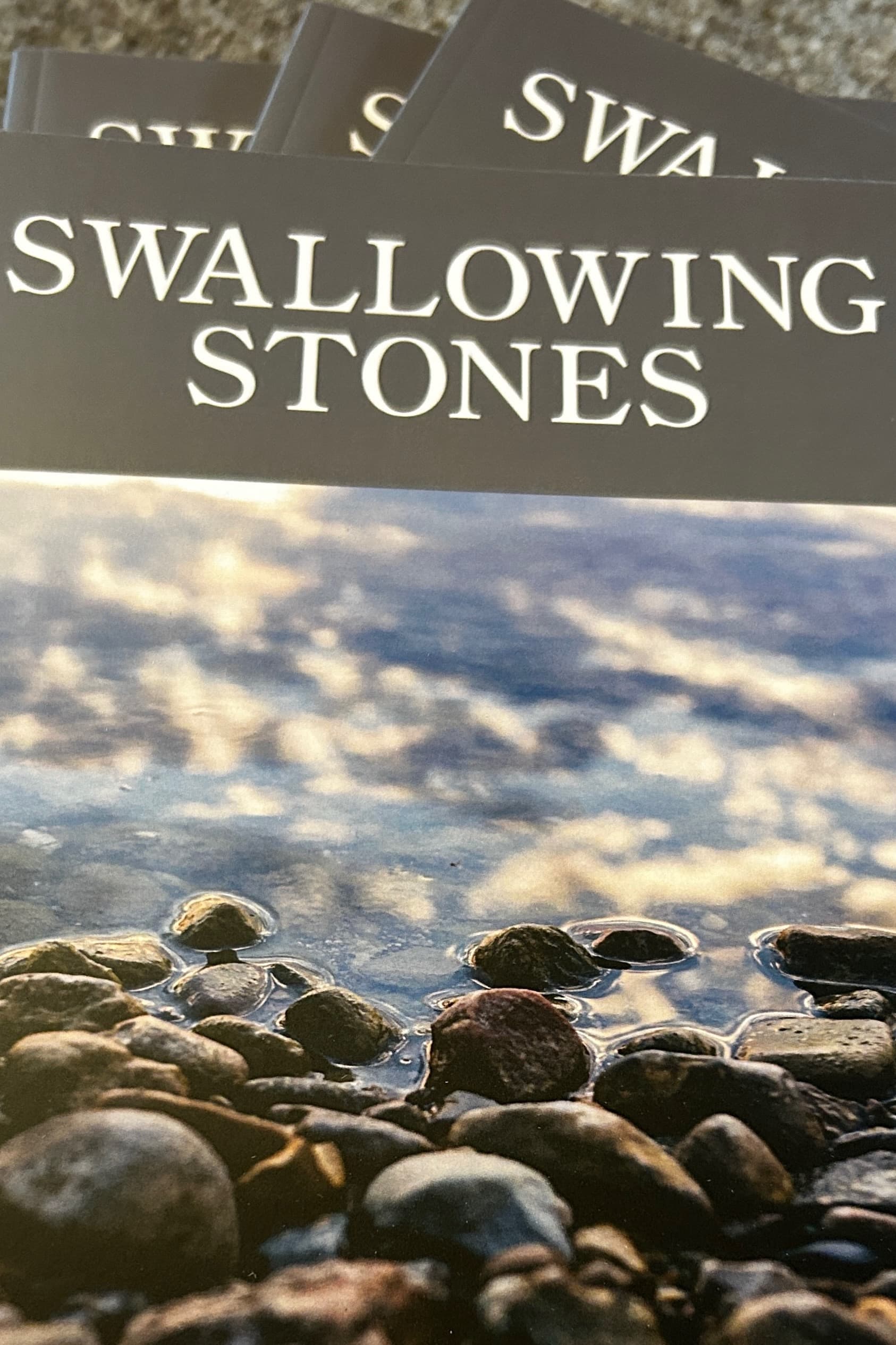 Book cover of Swallowing Stones by lisachristinastjohn