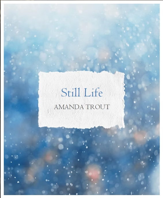 Book cover of Still Life by Amanda Trout