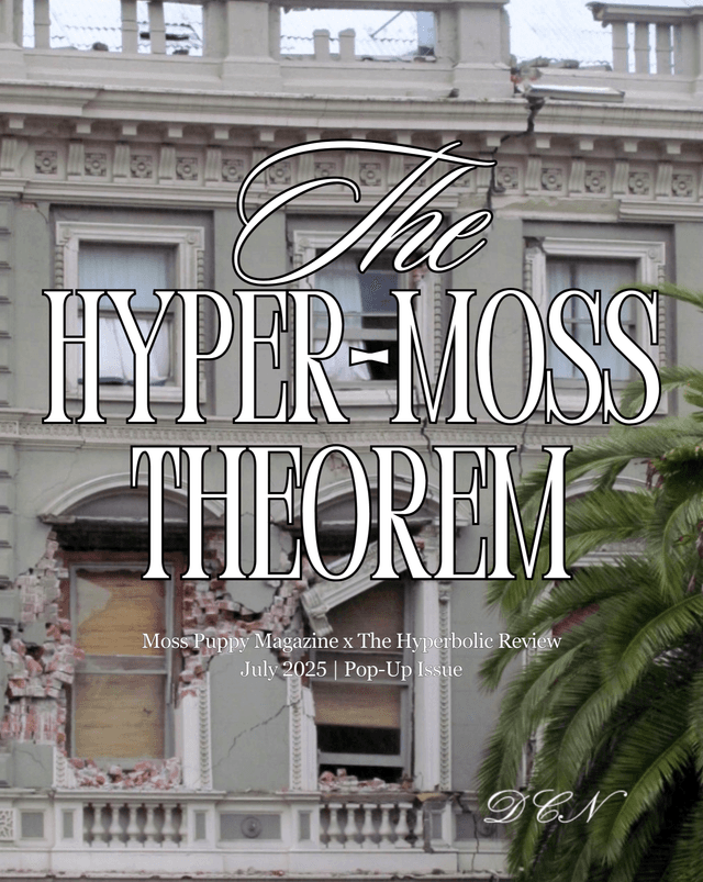 The Hyperbolic Review latest issue