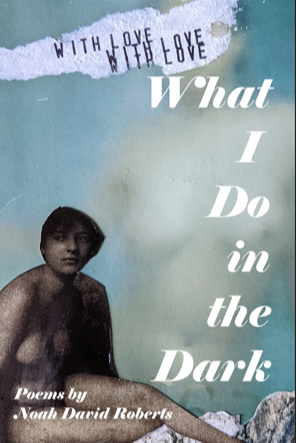 Book cover of What I Do in the Dark by Noah David Roberts