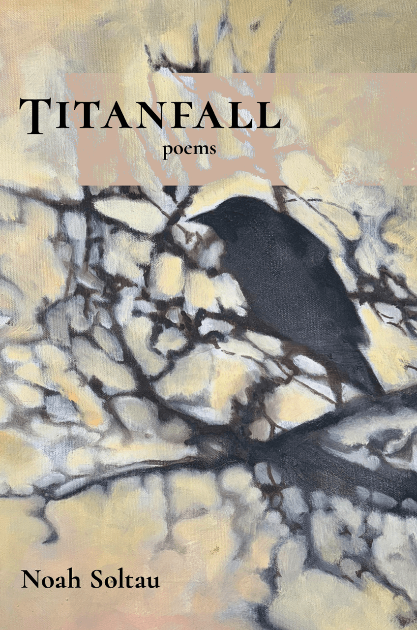 Book cover of Titanfall: Poems by Noah Soltau