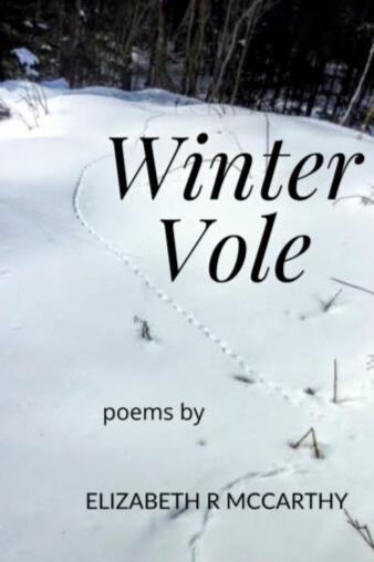Book cover of Winter Vole by Elizabeth R. McCarthy