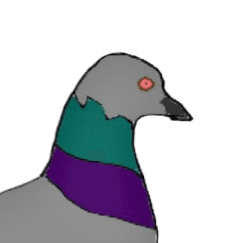 Cover of The Utrecht Pigeon: Poetry and short stories