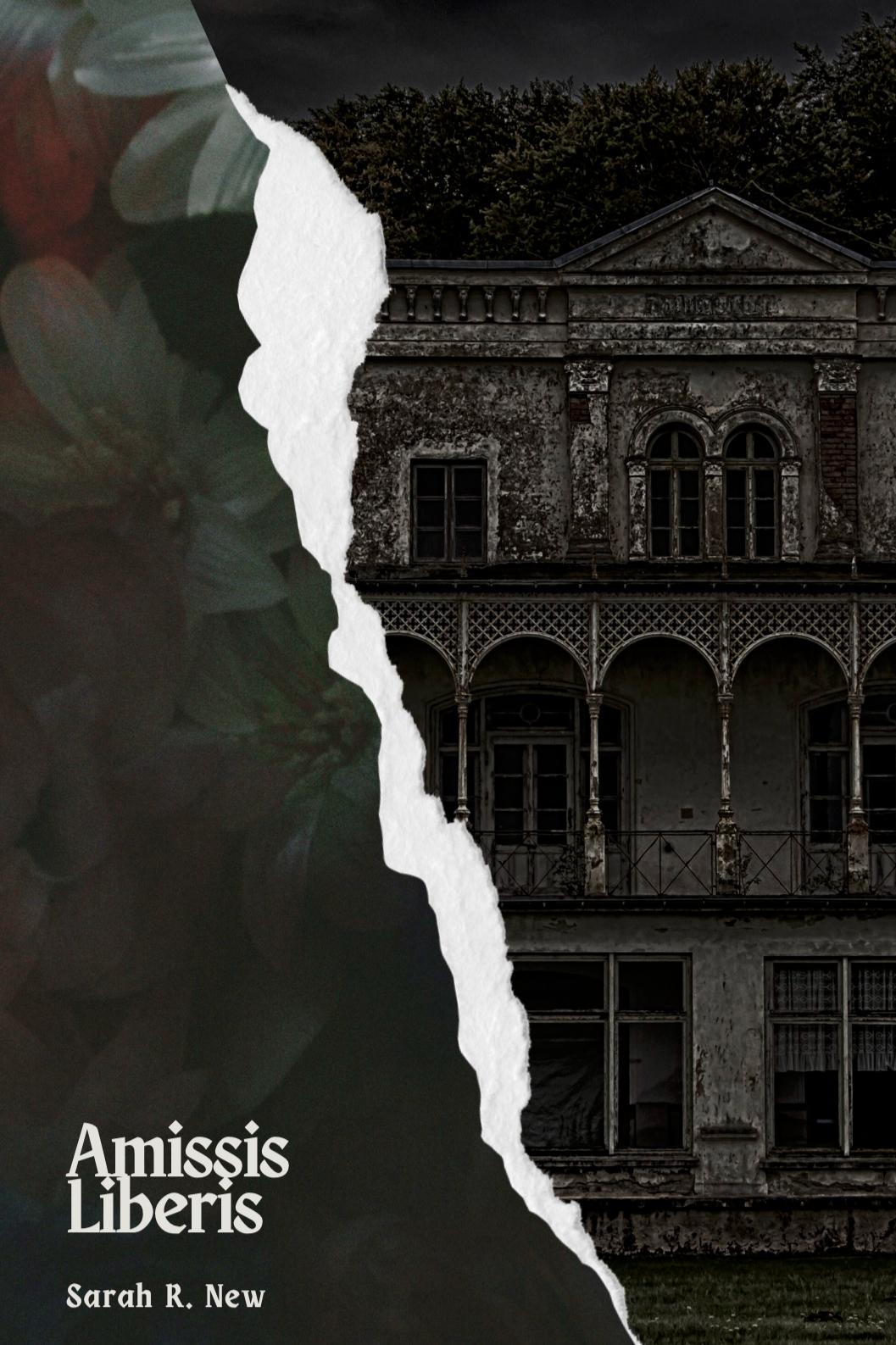 Book cover of Amissis Liberis by Sarah R. New