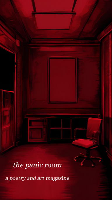 The Panic Room latest issue