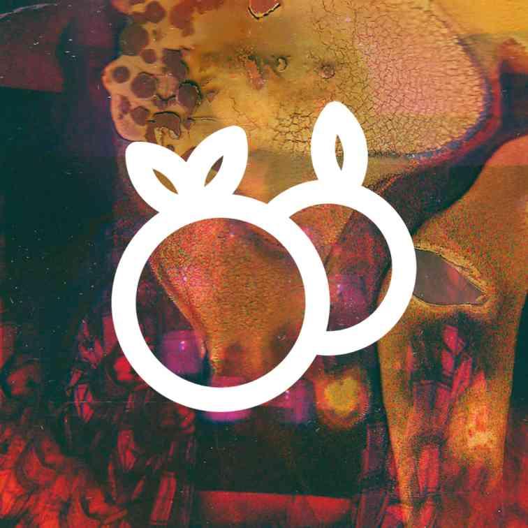 Cover of oranges Journal 