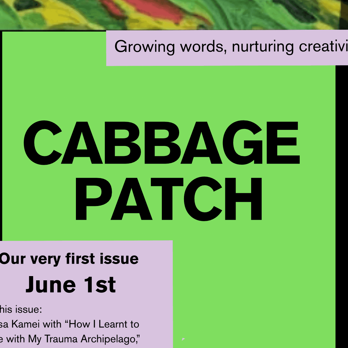 Cover of Cabbage Patch