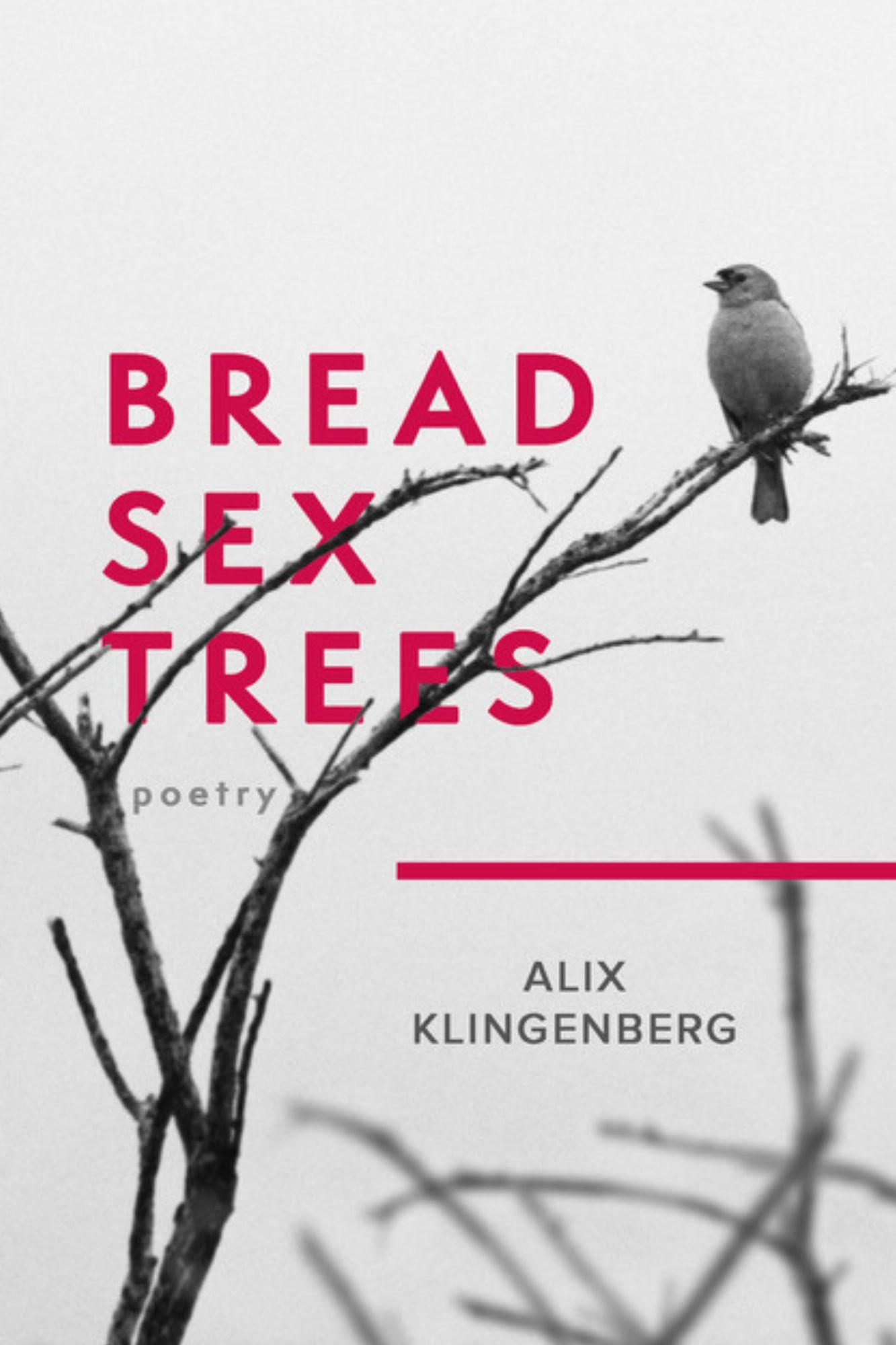 Book cover of Bread Sex Trees by Alix Klingenberg