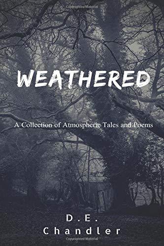 Book cover of Weathered by D.E. Chandler