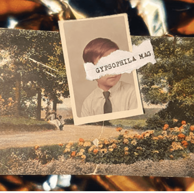 Cover of Gypsophila Zine