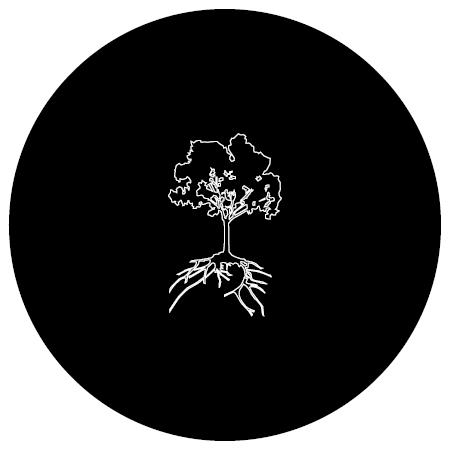 Cover of Under the Gum Tree