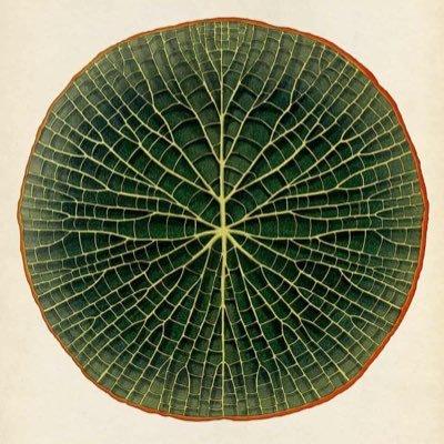 Cover of SUNHOUSE Literary