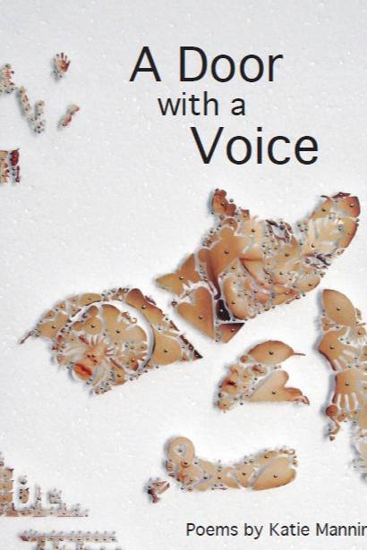 Book cover of A Door with a Voice by Katie Manning