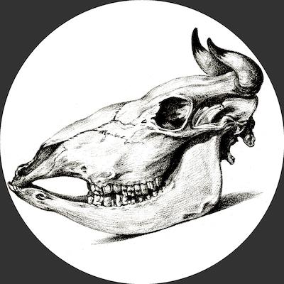 Cease, Cows (Staff) avatar