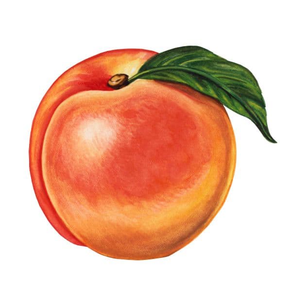 Cover of PEACHFUZZ Journal