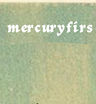 Mercury Firs logo