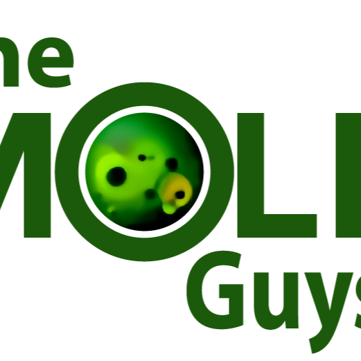 The Mold Guys avatar