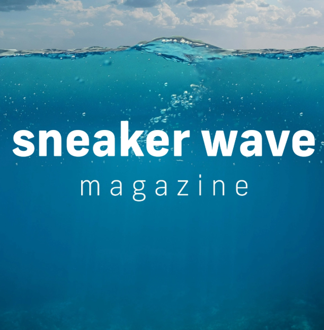 Cover of sneaker wave