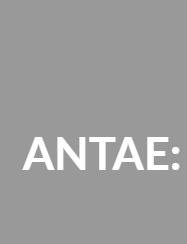 Cover of ANTAE
