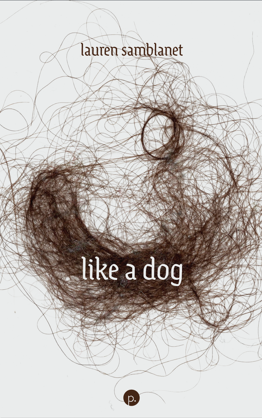 Book cover of like a dog by lauren samblanet