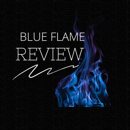 Cover of Blue Flame Review