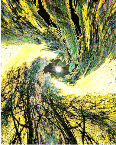 Open Arts Forum latest issue