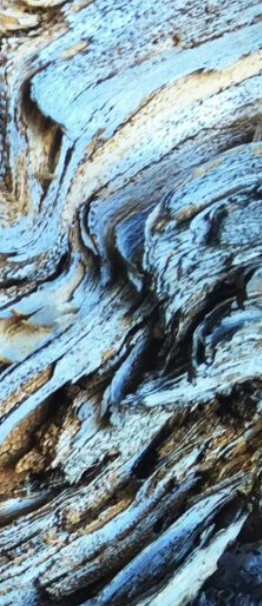 Flyway Journal latest issue