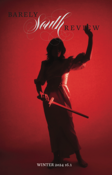 Barely South Review latest issue
