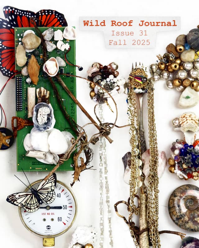 Wild Roof Journal latest issue